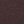 Chocolate Plum