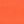 Orange Rose