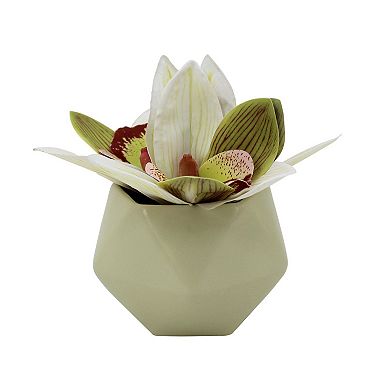Everyday Decor Artificial Mini White Orchid in Pot Table Decor