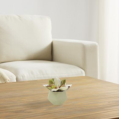 Everyday Decor Artificial Mini White Orchid in Pot Table Decor