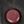 Black Plum