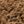 Otter Brown