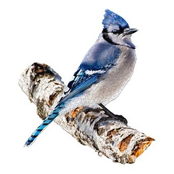 Madd Capp Games: I Am Blue Jay - 300 pc Puzzle