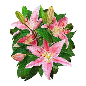 Madd Capp Games: I Am Lily - 350 pc Puzzle