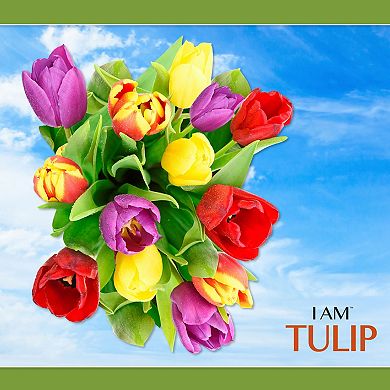 Madd Capp Games: I Am Tulip - 350 pc. Puzzle