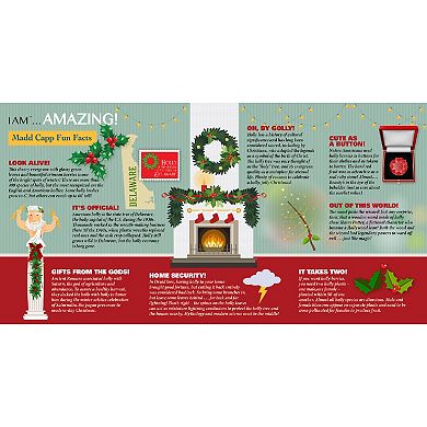 Madd Capp Games: I Am Holly - 350 pc Puzzle