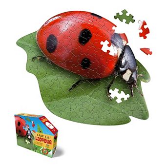 Madd Capp Games: I Am LiL' Ladybug - 100 pc Puzzle