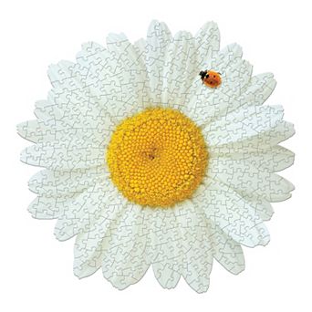 Madd Capp Games: I Am Daisy - 350 pc Puzzle