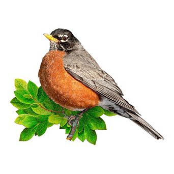 Madd Capp Games: I am Robin - 300 pc Jigsaw Puzzle