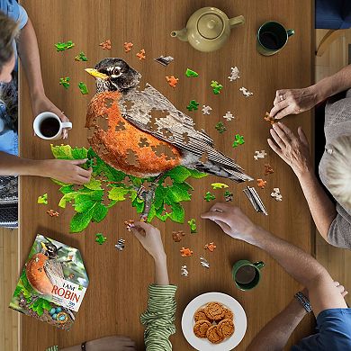 Madd Capp Games: I am Robin - 300 Piece Jigsaw Puzzle