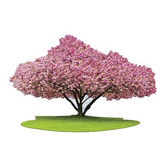 Madd Capp Games Madd Capp: I Am Cherry Blossom - 1000 pc Puzzle