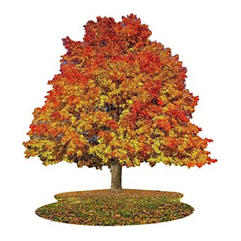 Madd Capp Games: I Am Sugar Maple - 1000 pc Puzzle
