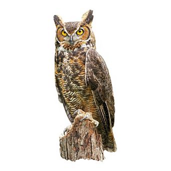 Madd Capp Games: I Am Great Horned Owl - 300 pc Puzzle