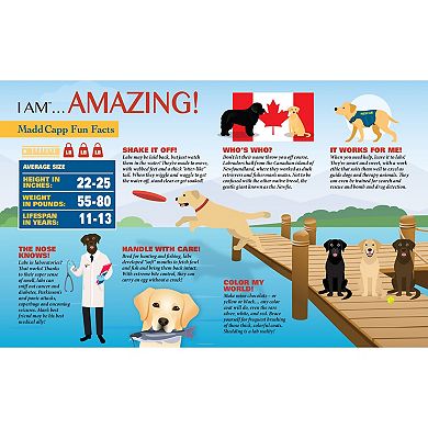 Madd Capp Games: I Am Lab - 550 Piece Puzzle