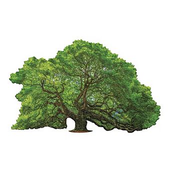 Madd Capp Games: I Am Oak - 1000 pc Puzzle