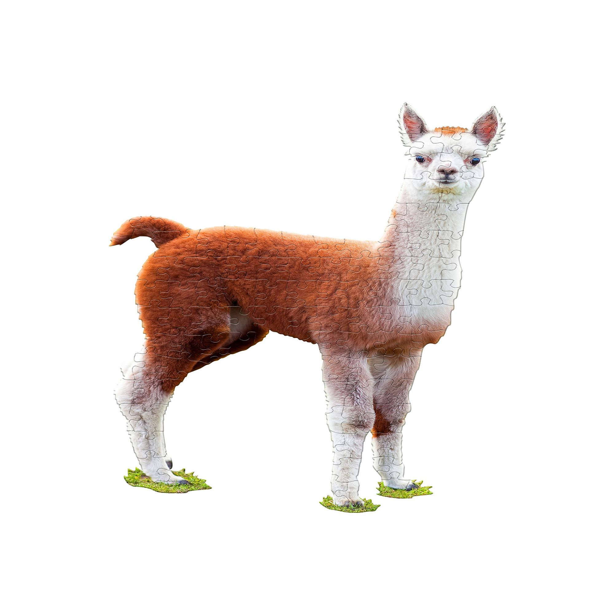 Madd Capp Jr: I Am Lil Llama 100-Piece Puzzle, Multi