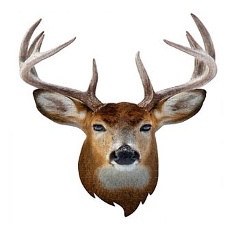 Madd Capp: I Am Buck 300 pc Puzzle