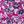 Plum Whimsy Floral