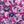 Plum Whimsy Floral