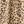 Tan Leopard