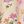 Pink Floral