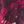 Berry Romantic Floral