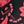Black Red Floral