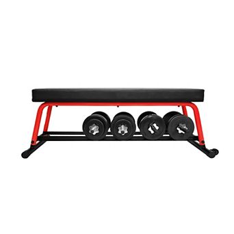 Sunny Health & Fitness Power Zone Premium Strength Flat Bench With Dumbbell Rack