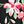 Black Floral