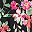 Black Floral