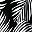 Black Graphic Palm