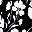 Black Pretty Floral