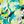 Aqua Sea Floral