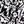 Black Tropical Floral