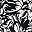 Black Tropical Floral