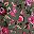 Olive Green Floral
