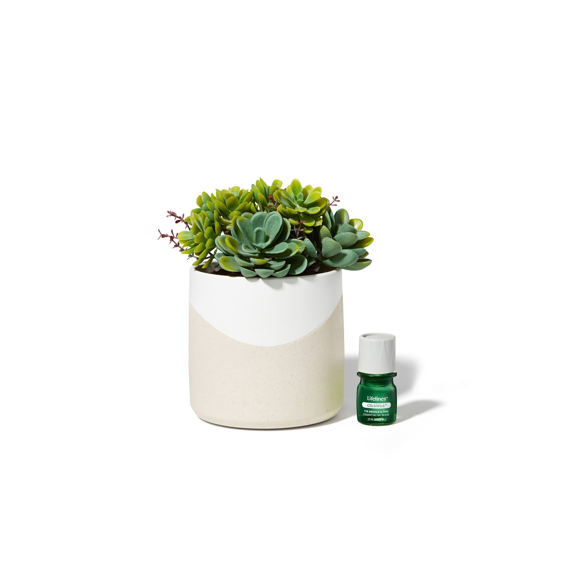 Lifelines Artificial Succulent Plant Diffuser, Multi None