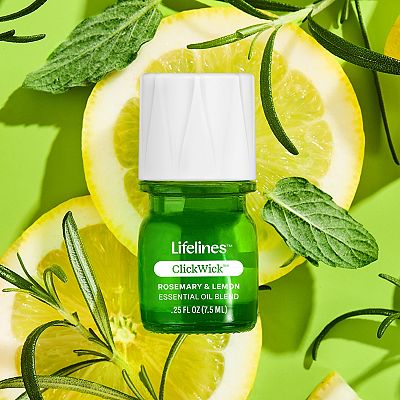 Lifelines Artificial Succulent Plant Diffuser