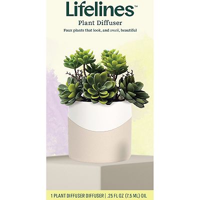 Lifelines Artificial Succulent Plant Diffuser