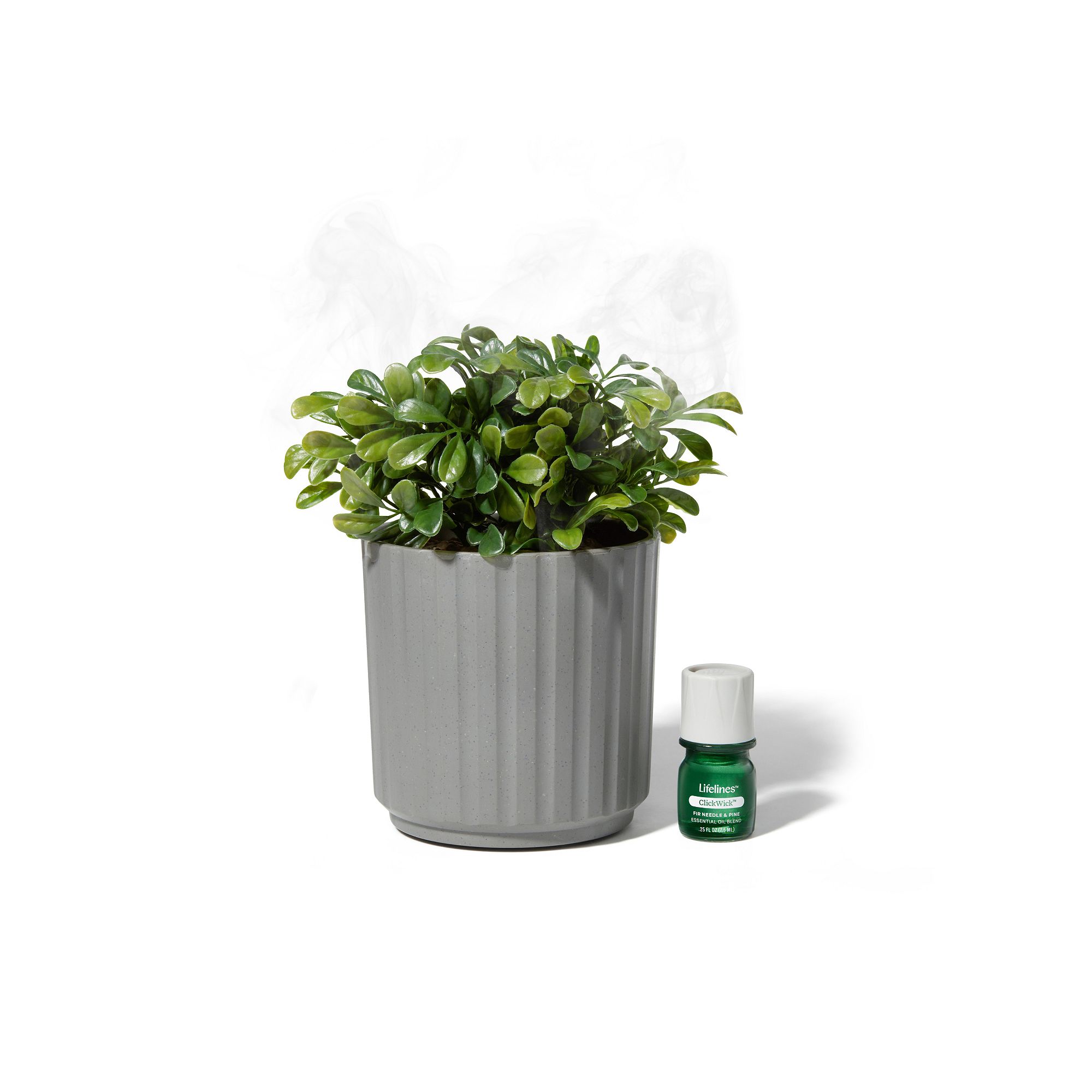 Lifelines Artificial Boxwood Plant Diffuser, Multi None