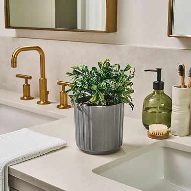 Lifelines Artificial Boxwood Plant Diffuser