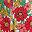 Cherry Multi