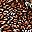 Coffee Bean Multi