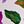 Vibrant Violet Multi