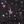 Black Foil Stars