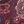 Rich Burgundy