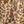 Beige Wildflower Print