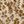 Beige Wildflower Print