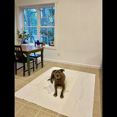 Midlee Washable Pee Pad for Dogs 60" x 72" Pack of 3