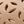 Beige Leather